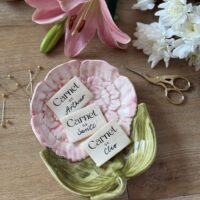 étiquettes carnet de santé personnalisé