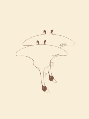 Lot de deux doudous raie Personnalisables <br> Une broderie offerte