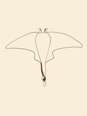 Grande peluche raie Personnalisable